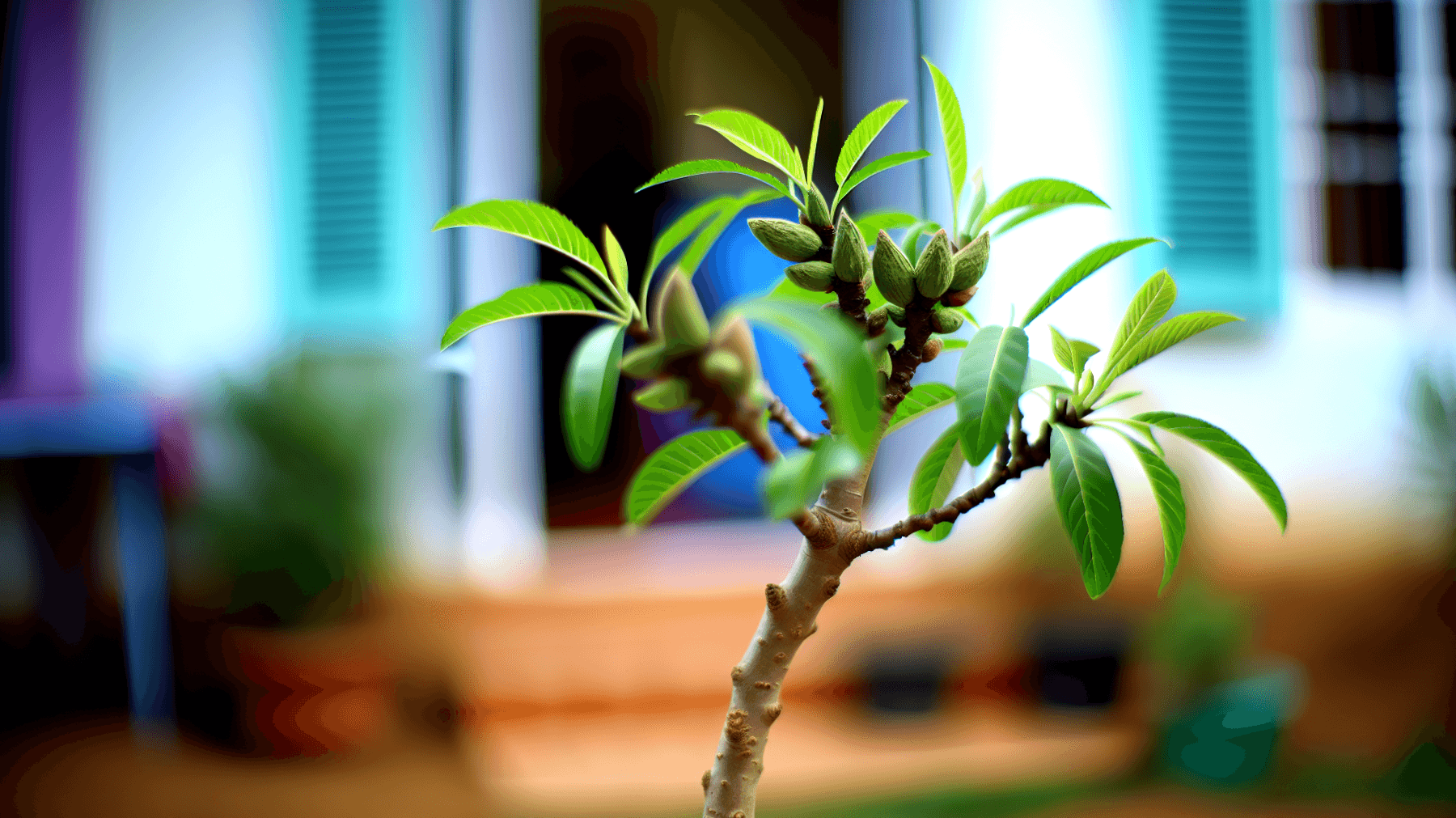 Ringiovanire il Mandorlo: Semplici Passaggi per Una Fioritura Spettacolare