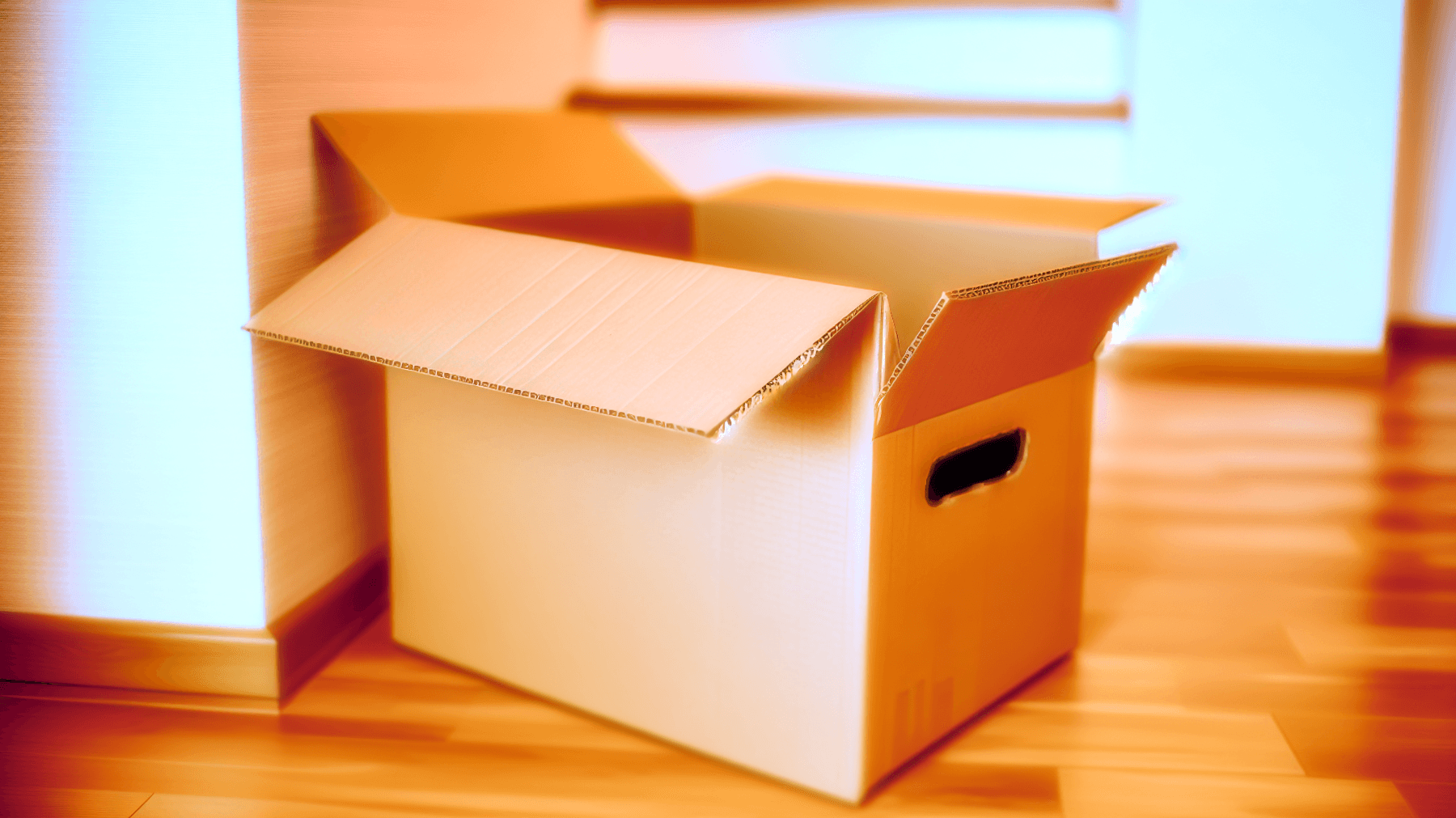 Come Trasformare il Cartone in Straordinari Complementi d'Arredo Fai-da-Te