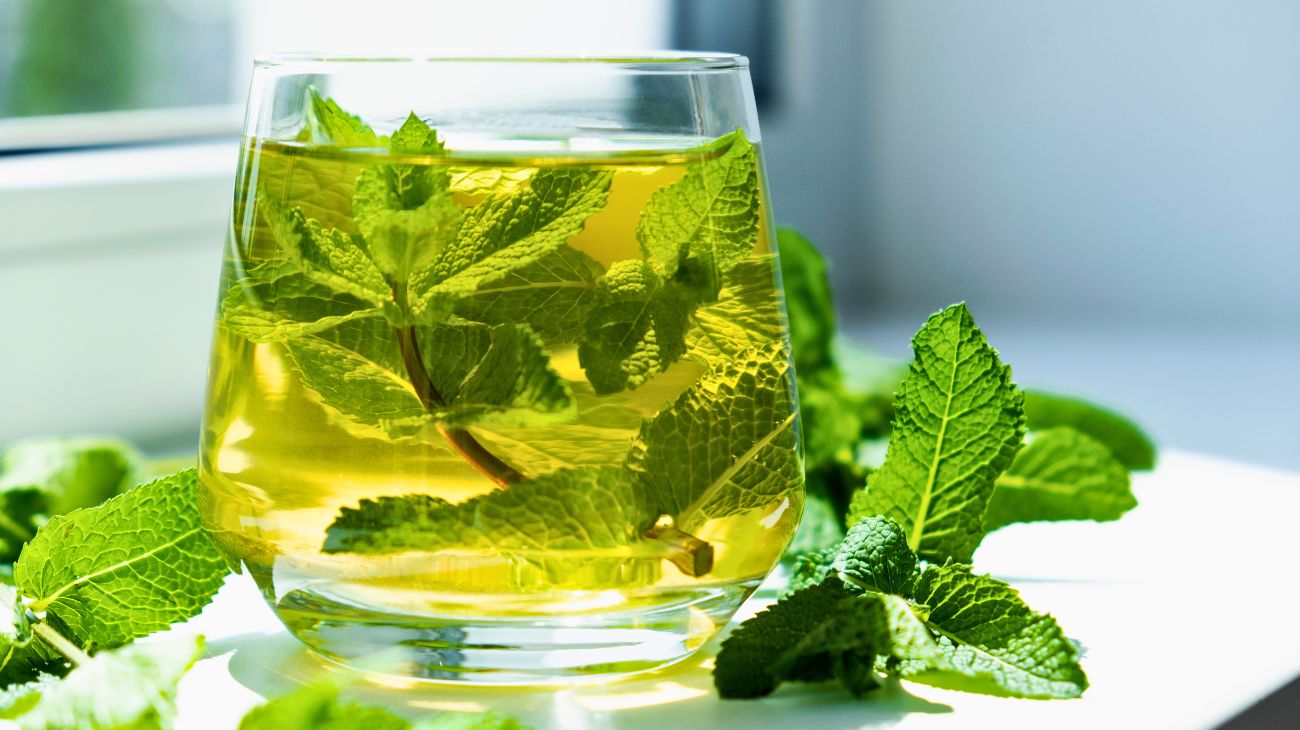 tisana alla menta