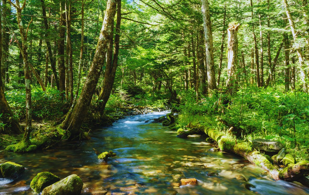 Sebbene queste acque sembrino incontaminate, in realtà c'è il rischio che contengano sostanze chimiche (o naturali) dannose per l'uomo