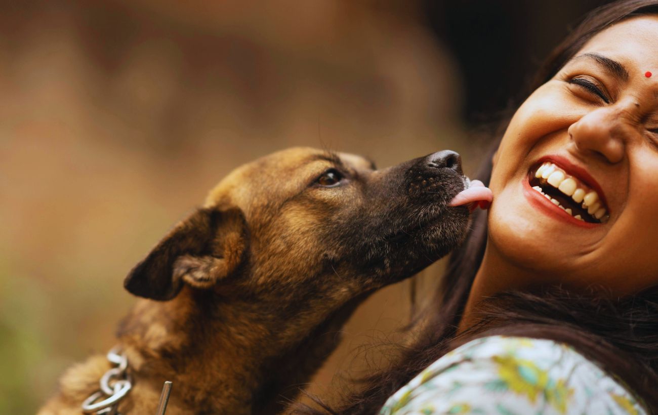 In linea di massima, per chi vuole evitare qualsiasi rischio, è meglio evitare di farsi baciare in faccia dal cane.