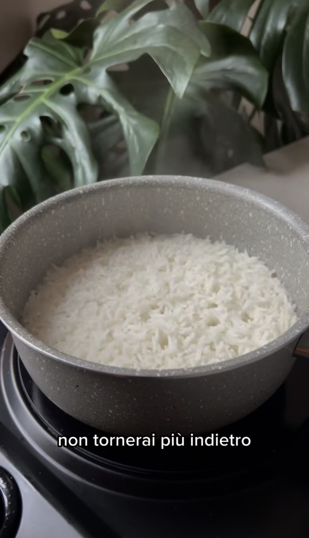 La content creator @zuccatakeaway ha mostrato com'è il riso preparato tramite la cottura per assorbimento