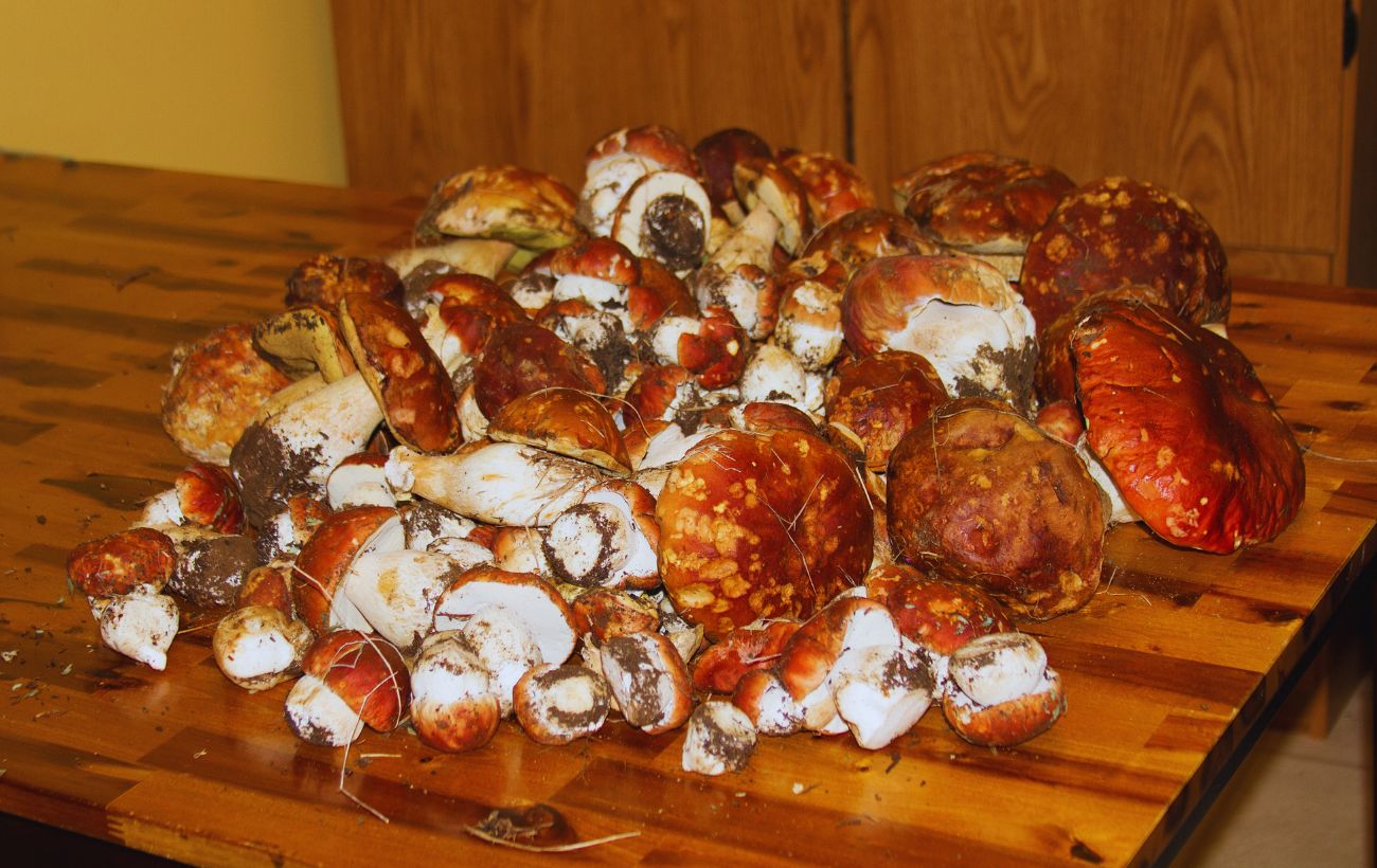 Sebbene molte persone lavino i funghi, è una pratica da evitare