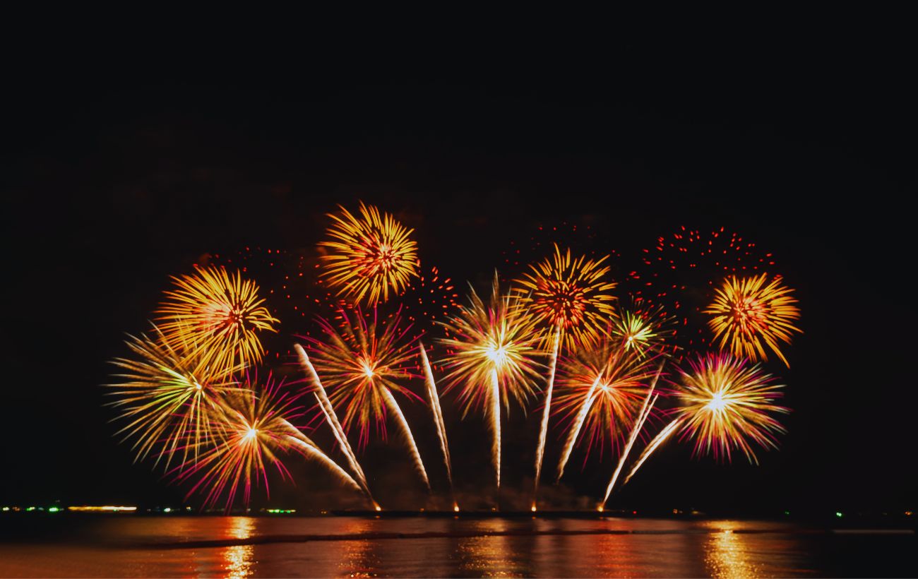 I fuochi d'artificio sono belli da vedere ma il rumore che causano, provoca forte stress nei cani