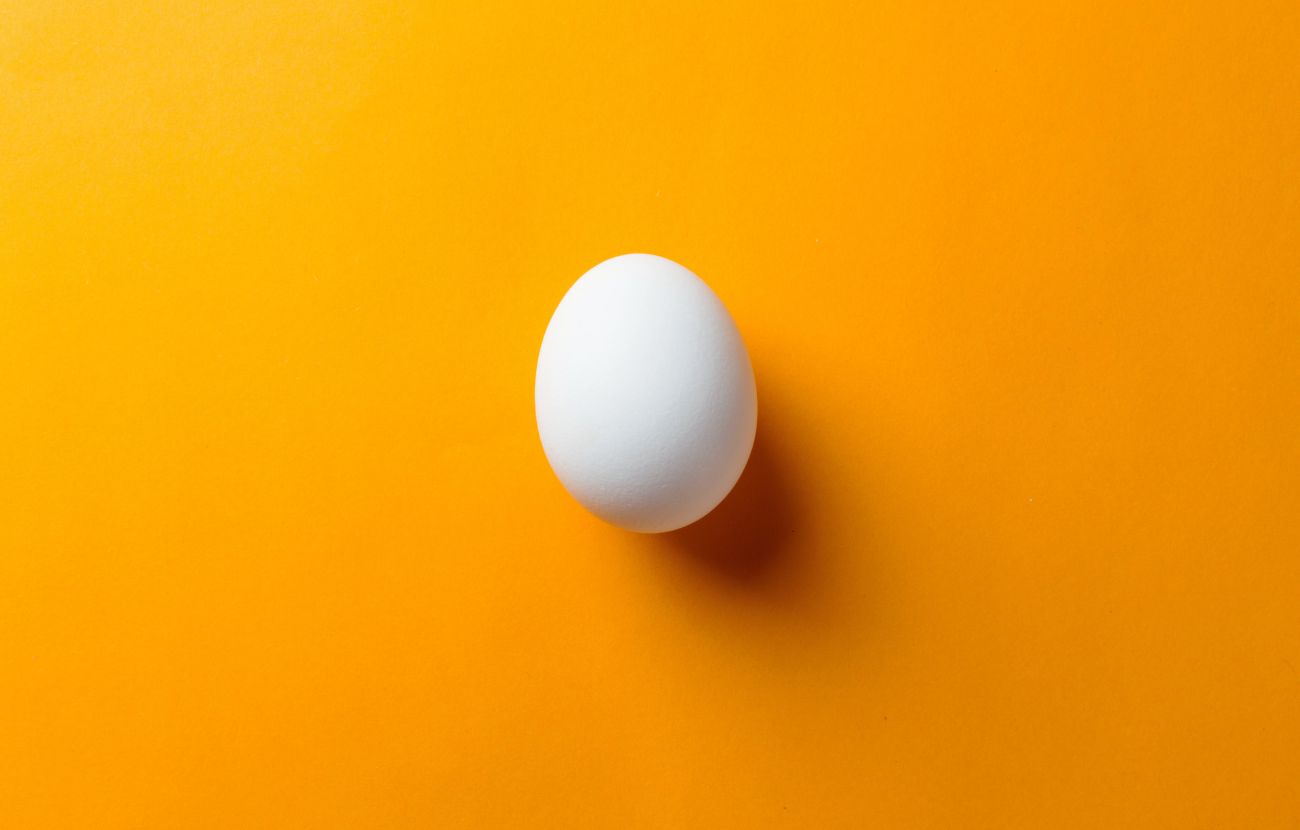 La risposta corretta alla domanda delle domande è: "Uovo", dato che le uova venivano deposte dagli animali ben prima che nascesse la creatura che noi chiamiamo gallina.