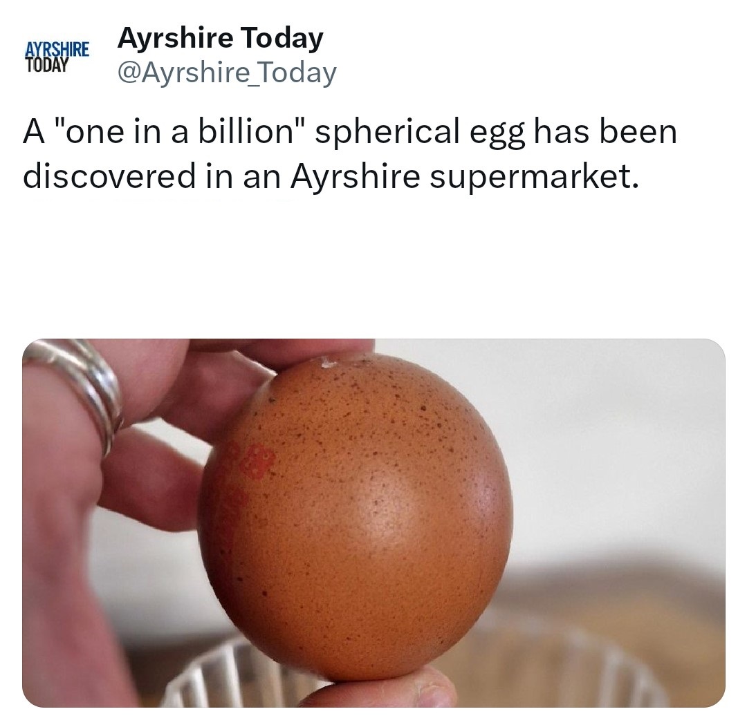 La notizia dell'uovo sferico ha iniziato a circolare ben prima dell'asta benefica.