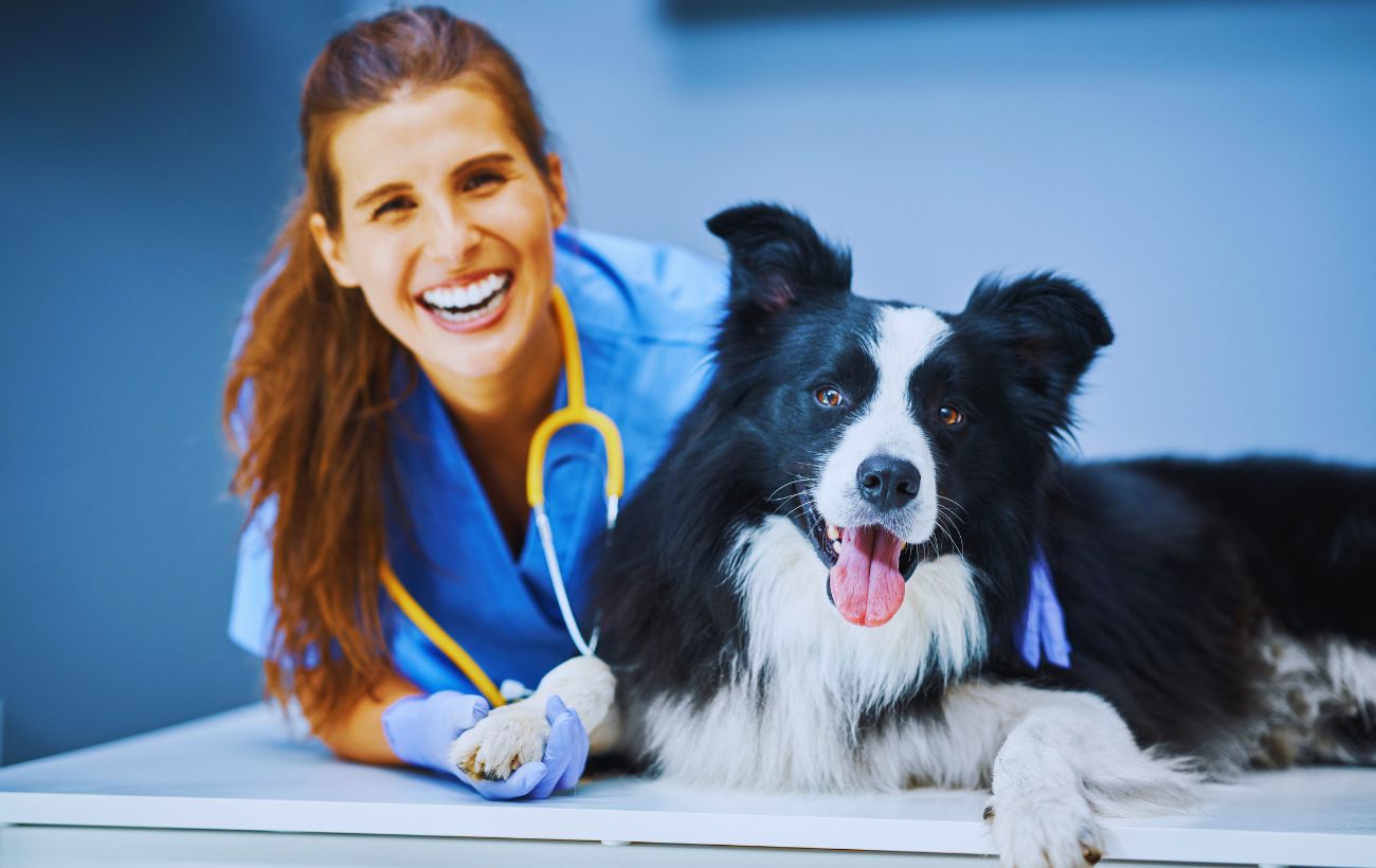 Una veterinaria in compagnia di un cane