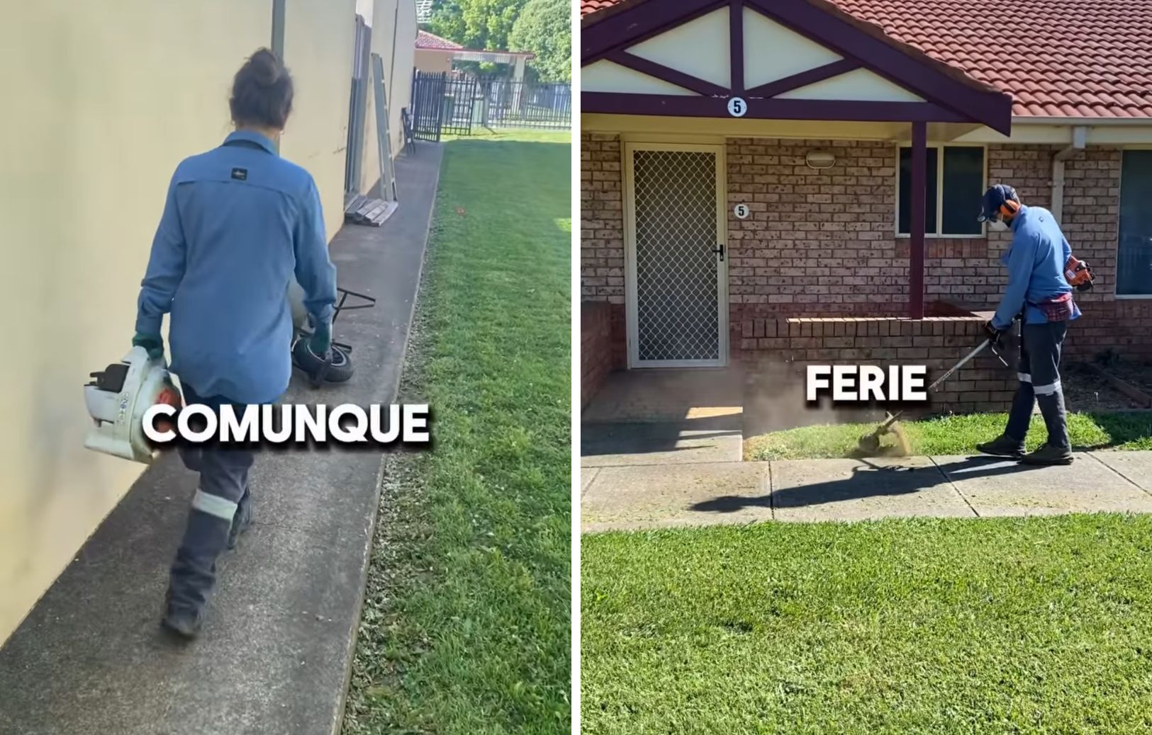 Gli italiani, registrati su Instagram come 'Scappati de casa', hanno lavorato come giardinieri per 4 mesi in Australia.