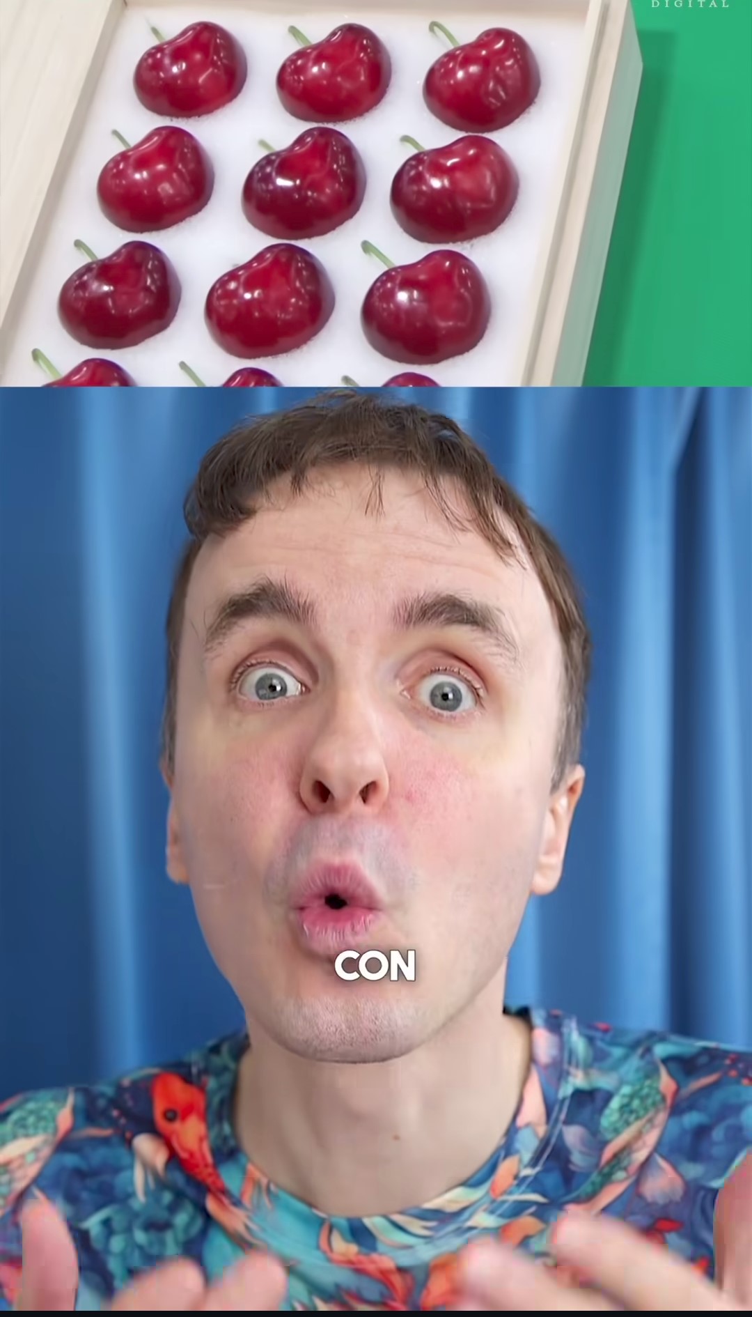 Marco Togni ha raccontato la storia delle ciliegie giapponesi che possono arrivare anche a 600€ all'unità