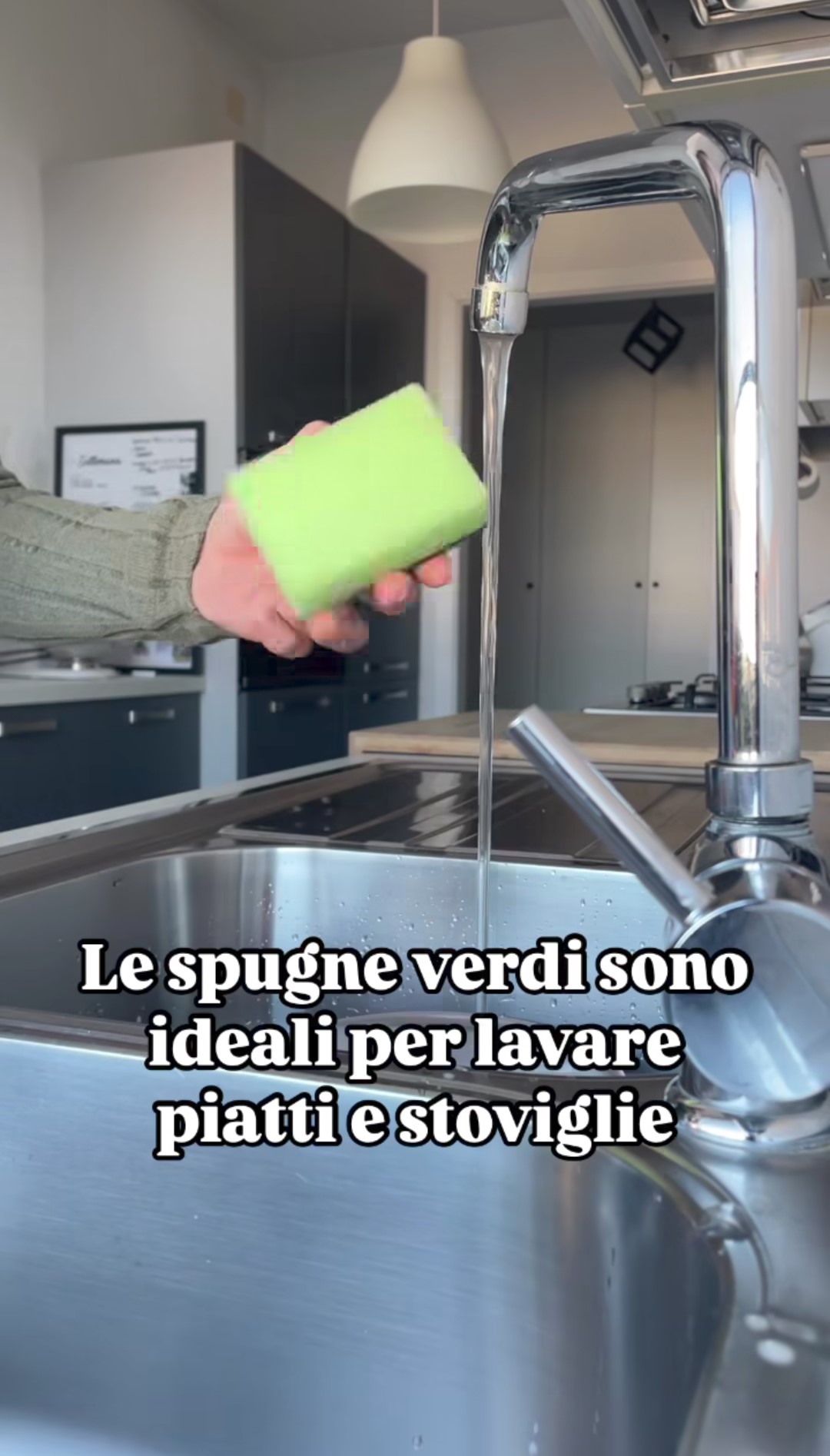 Le spugne per piatti di colore verde sono "medie": non sono le più abrasive ma neppure le più delicate.