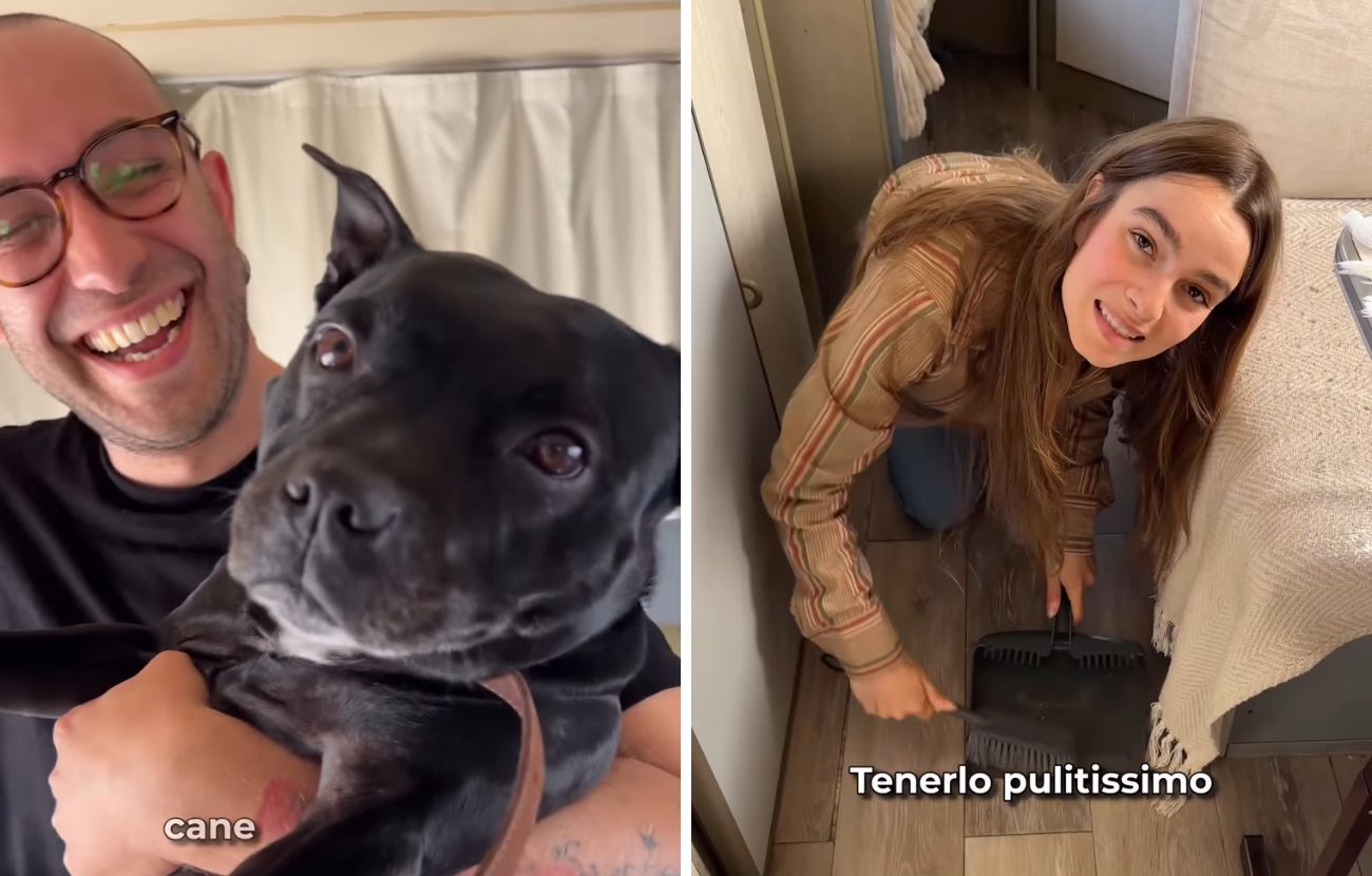 Tenere pulito un camper dove vivono due umani e un cane è estremamente difficile.