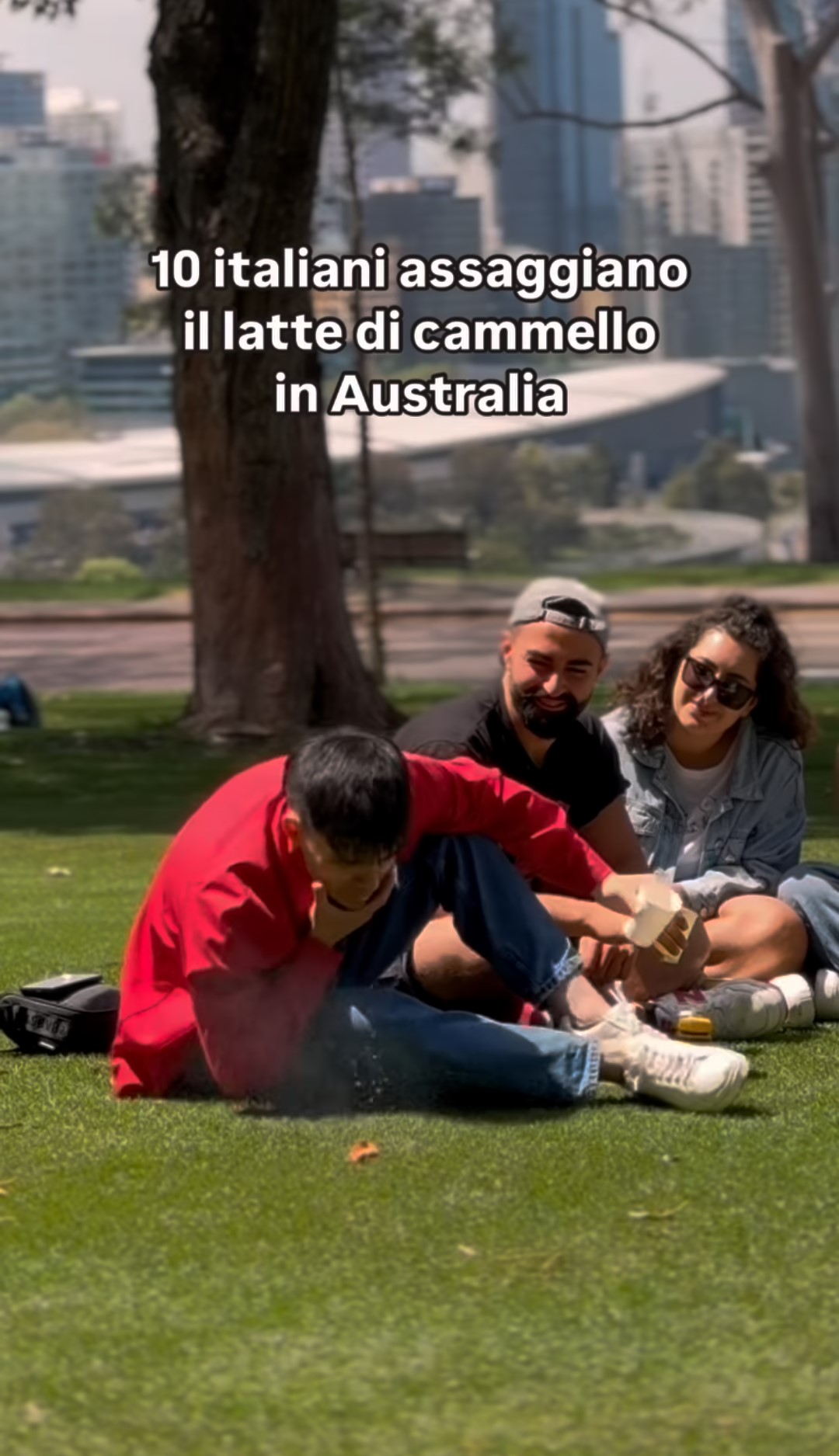 Il primo italiano che ha assaggiato il latte di cammello lo ha letteralmente sputato.