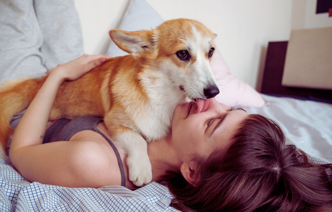 Farsi leccare il viso dal cane non è esente da rischi