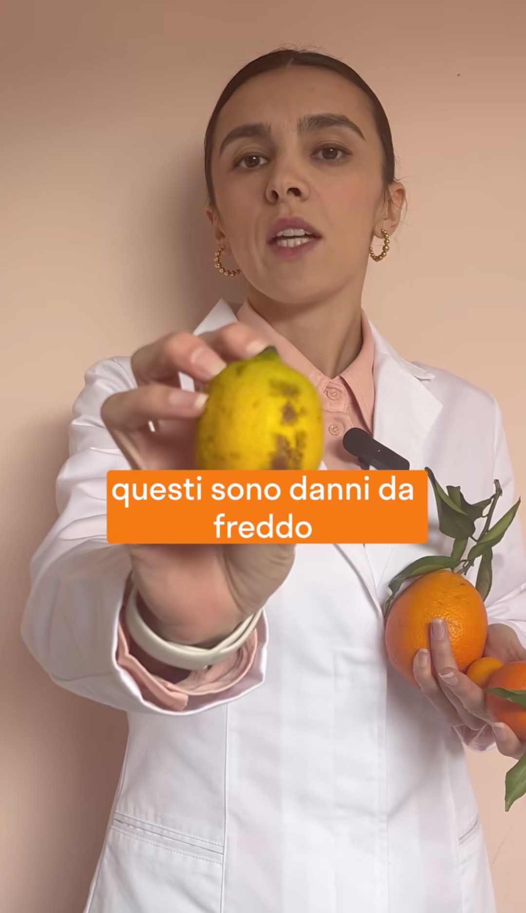 Quando un limone è sottoposto a temperature troppo basse, può danneggiarsi