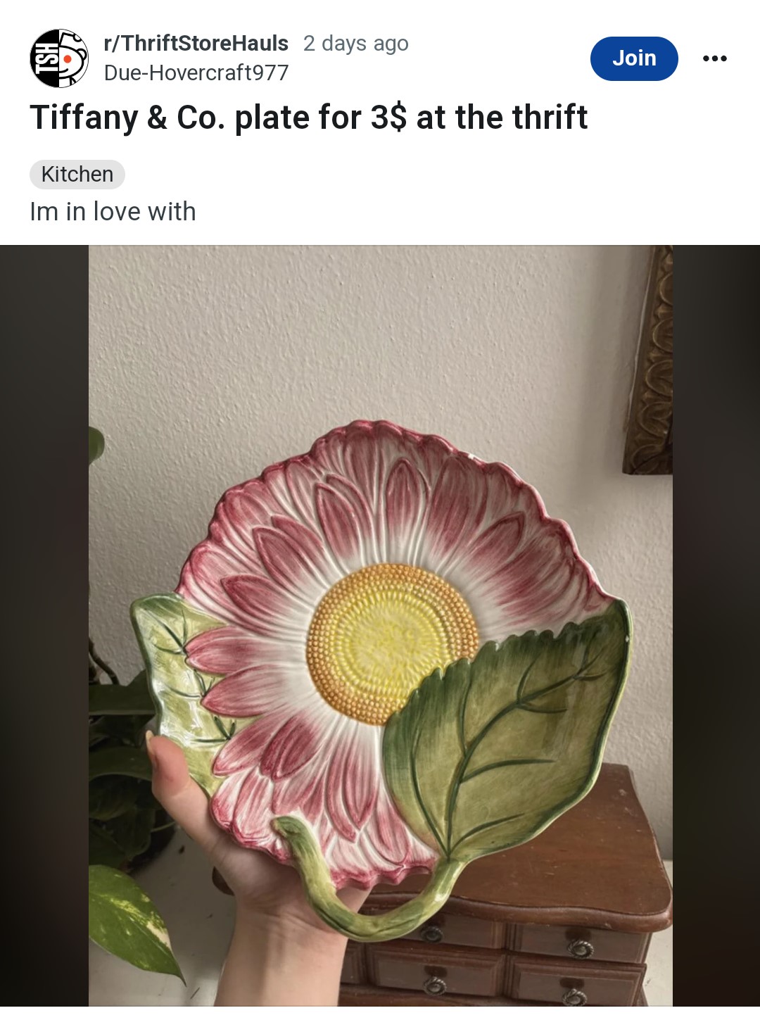 Il piatto usato pagato 3€ che sembra valerne almeno 80.