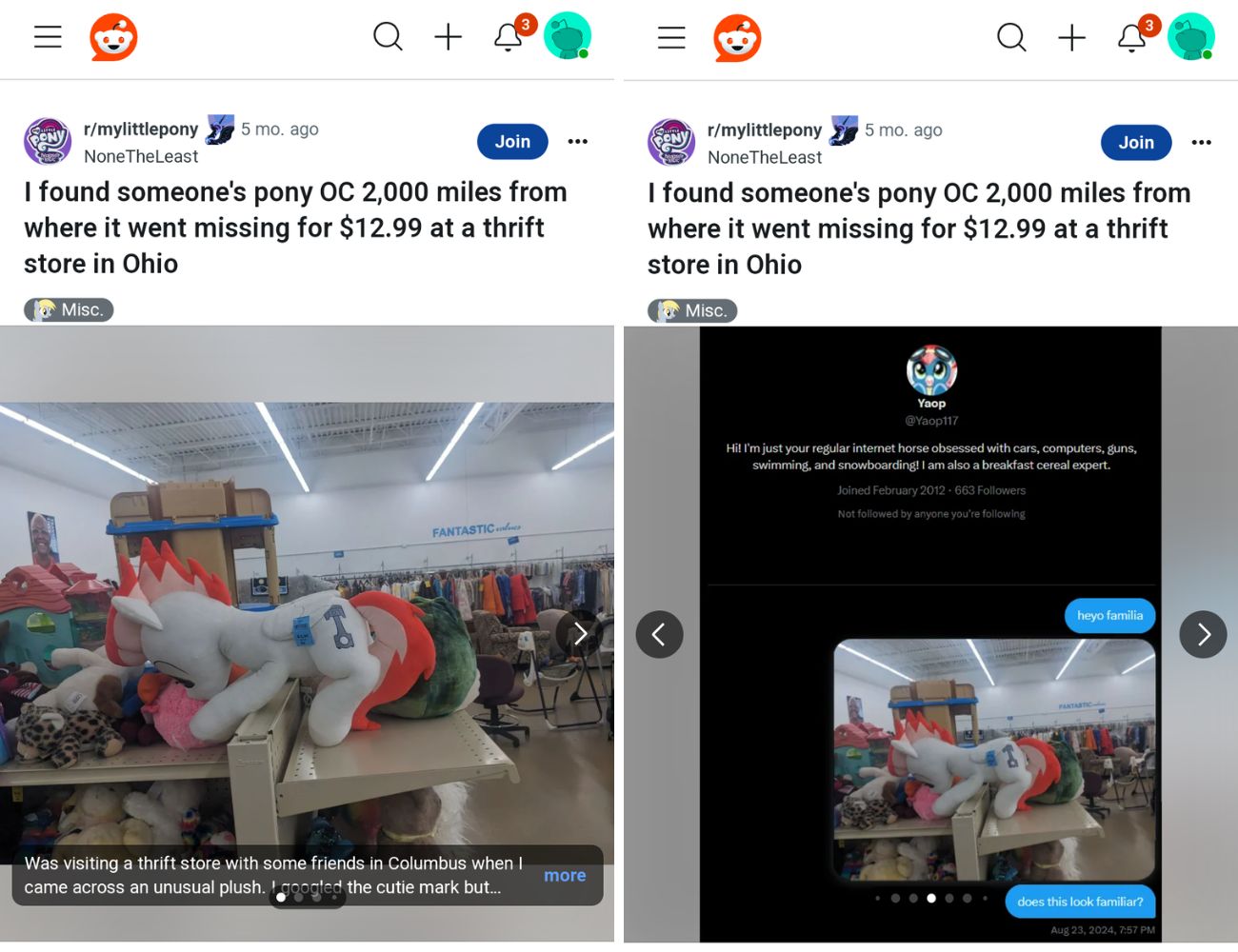 A sinistra la foto del pupazzo comprato nel mercatino dell'usato, a destra la chat con un utente di X che, diversi mesi fa, aveva lamentato la sparizione del pacco.