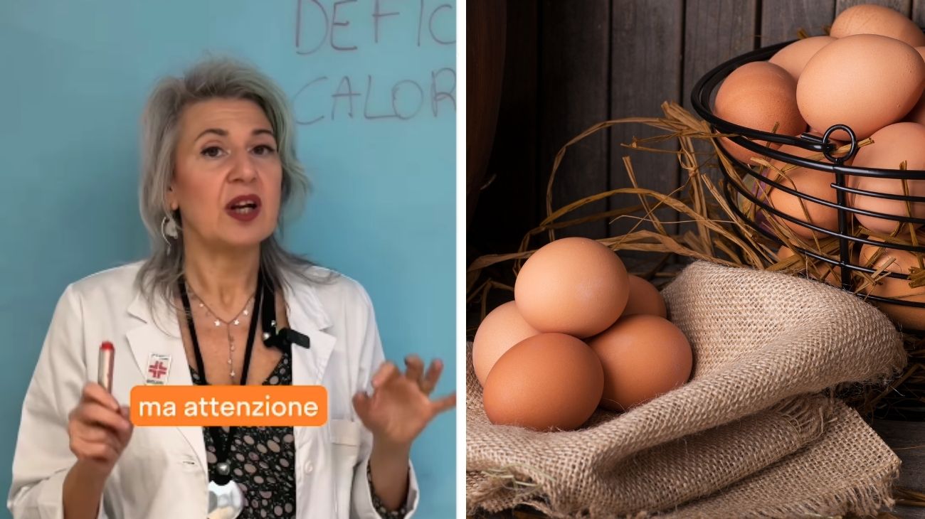 Uova allevate a terra