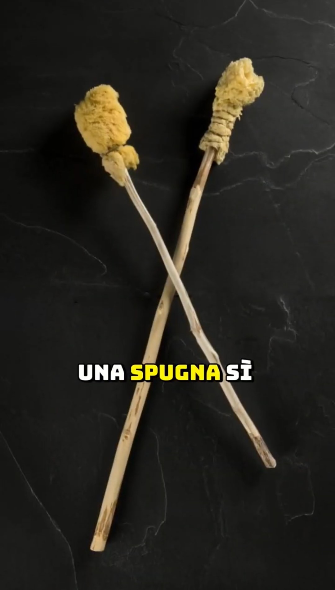 Gli Antichi Romani usavano questo strumento per l'igiene intima; strumento che era condiviso da tutti gli utilizzatori dei bagni pubblici.