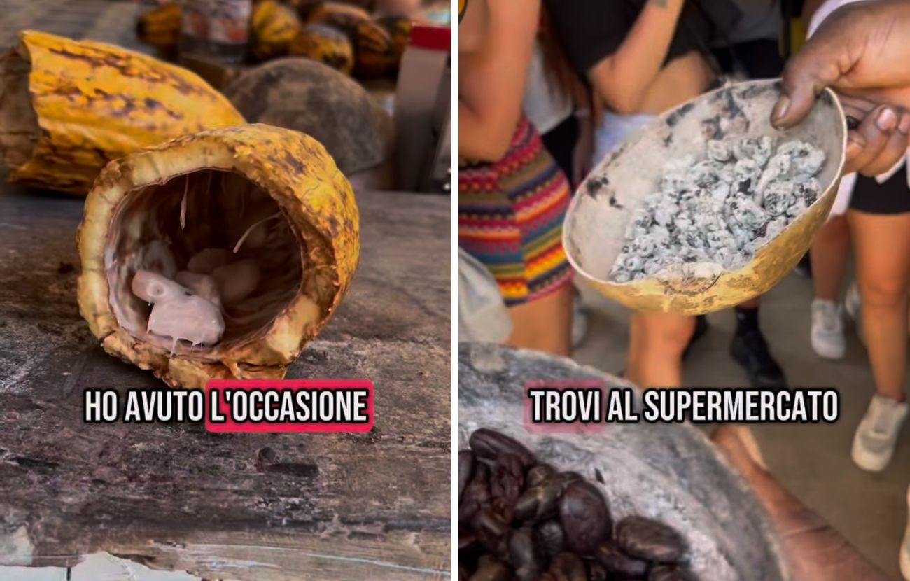 Ecco com'è il cacao appena raccolto dagli alberi che ha mangiato la nutrizionista italiana.