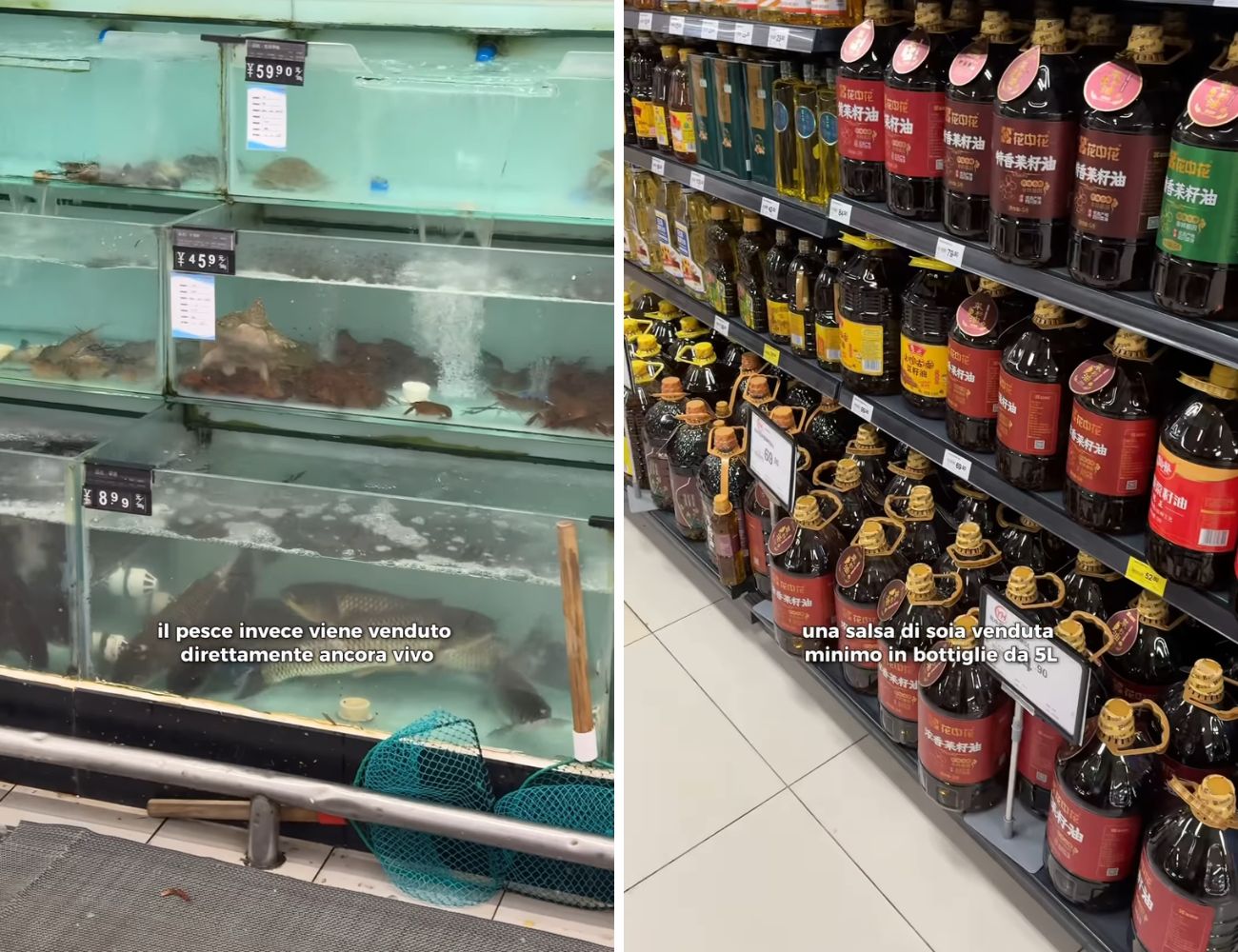 A sinistra il pesce venduto vivo, a destra le enormi bottiglie di salsa di soia nel supermercato cinese.