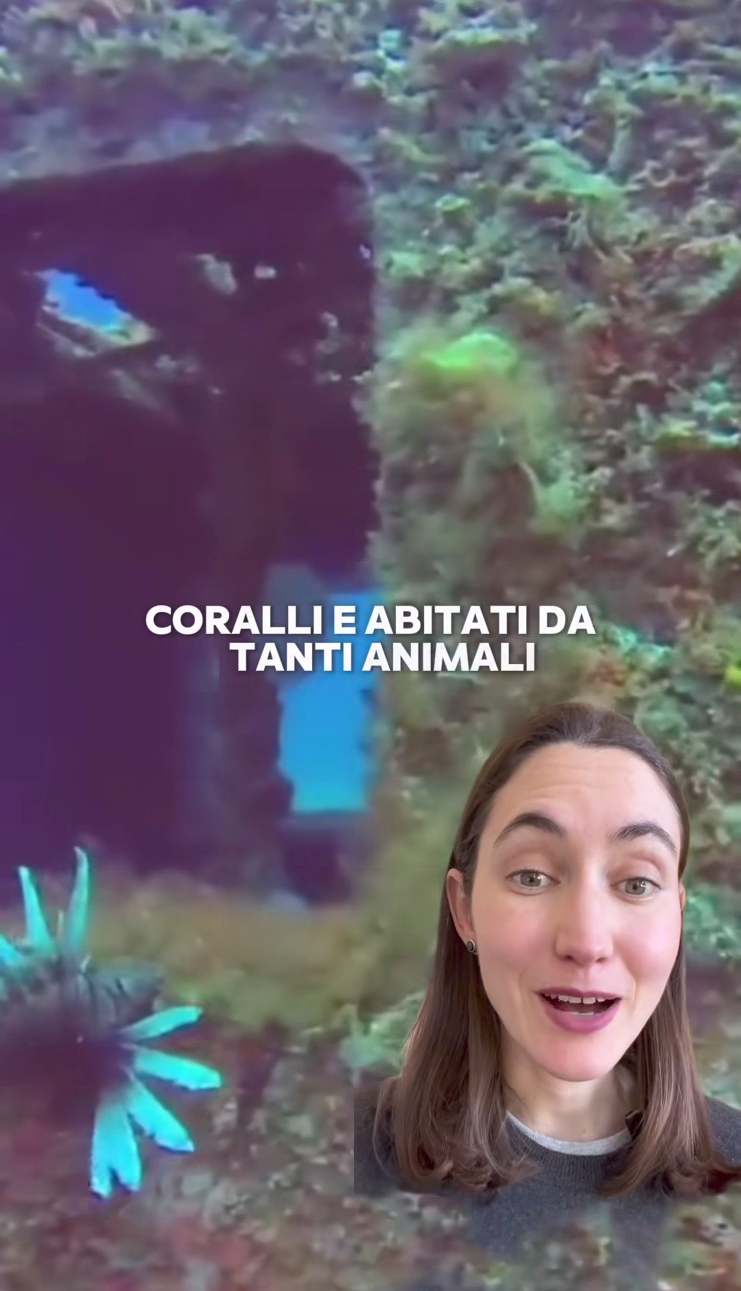 L'utente Instagram 'Mangrovia Shop' ha raccontato l'iniziativa avvenuta a New York a inizio millennio di gettare 2500 vecchi vagoni della metropolitana in mare.