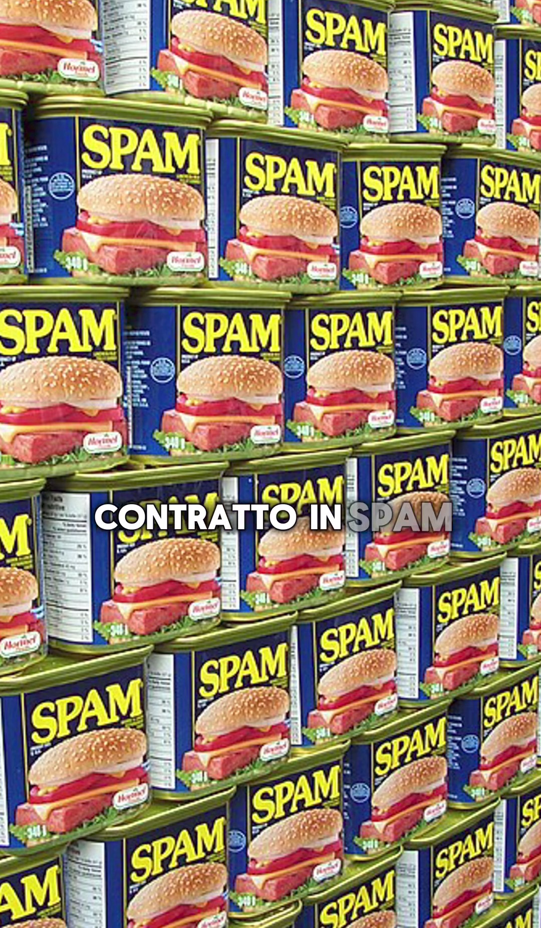 'Spam' è la crasi di 'Spiced' e 'Ham', un tipo di carne di maiale dal gusto poco piacevole ma dal prezzo basso