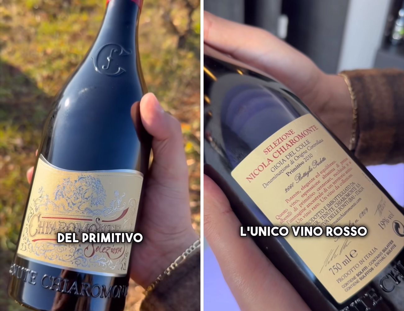 La bottiglia contenente il vino più forte del mondo, il Super Primitivo.