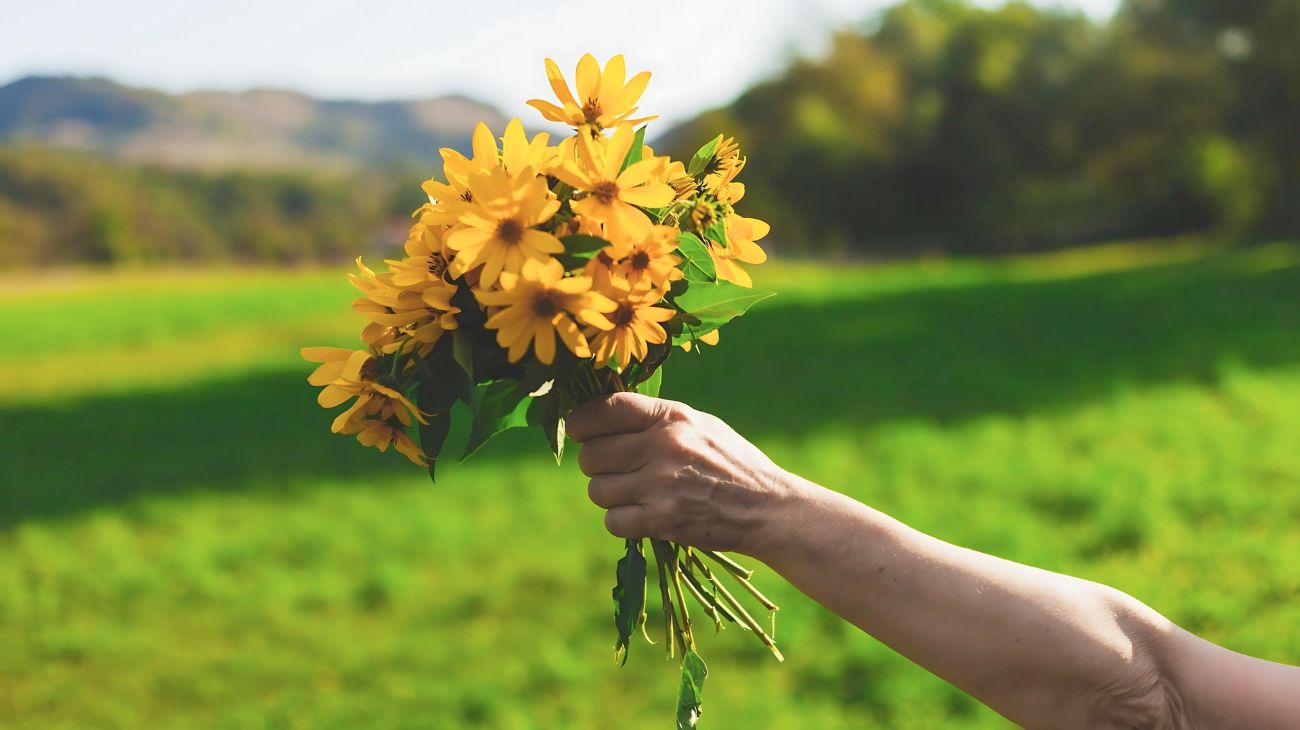 Oroscopo floreale per ogni segno zodiacale