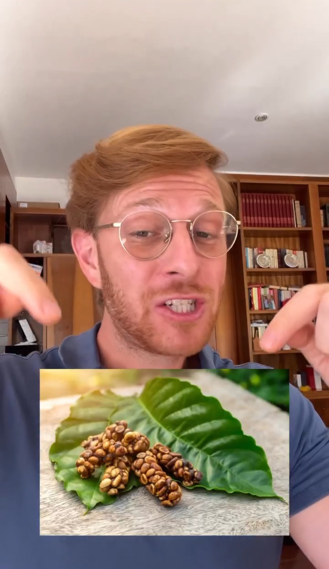 Questo è il caffè più costoso del mondo al naturale, prima di diventare polvere per la nostra Moka.