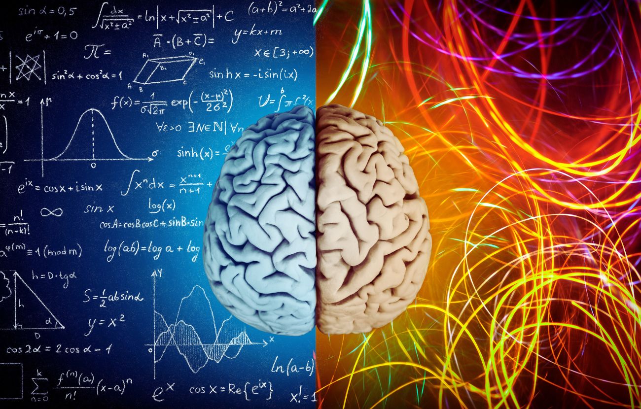 Il cervello ha bisogno di essere stimolato continuamente per mantenersi 'giovane'.
