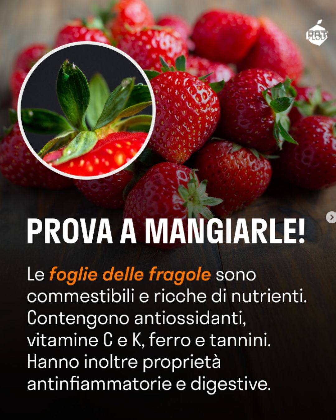 fragole