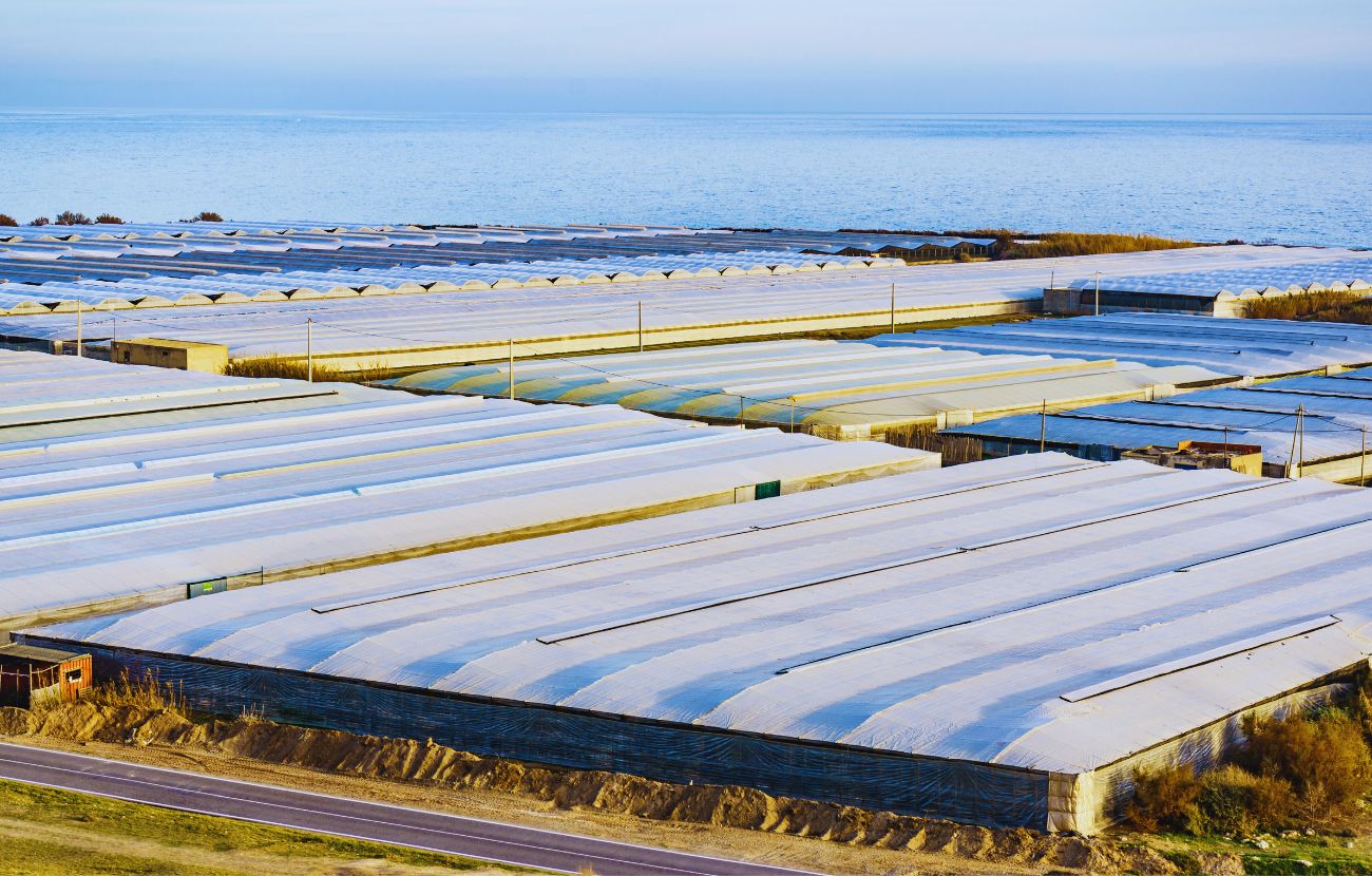 Il Mar de Plástico è l'unico luogo della Terra visibile dallo spazio secondo la NASA.