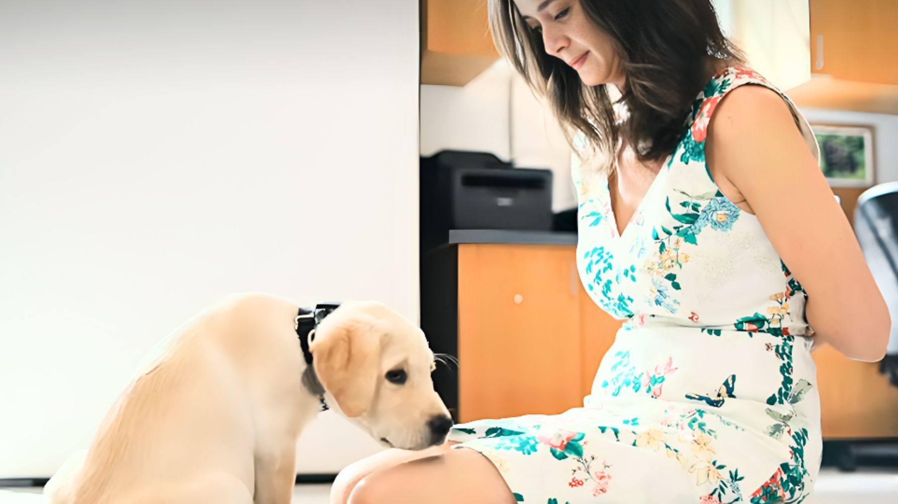 Netflix, documentario