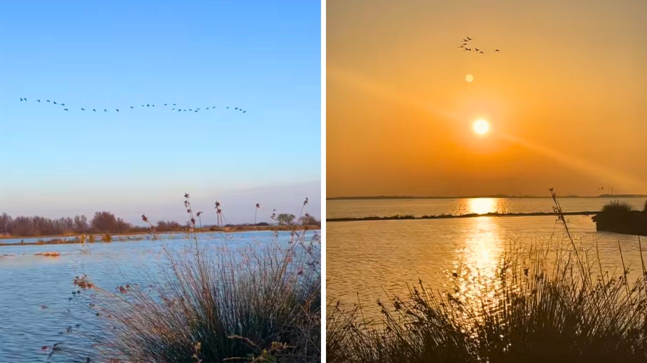 Profilo Accchiappamappa, Emilia Romagna da vivere