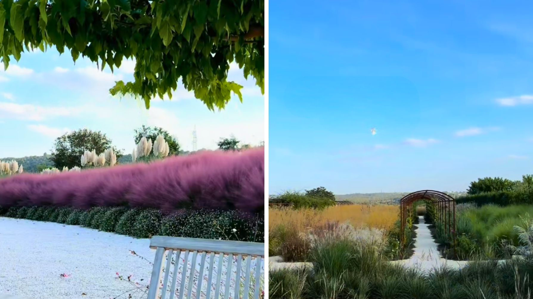 Profilo Effelorusso, Puglia