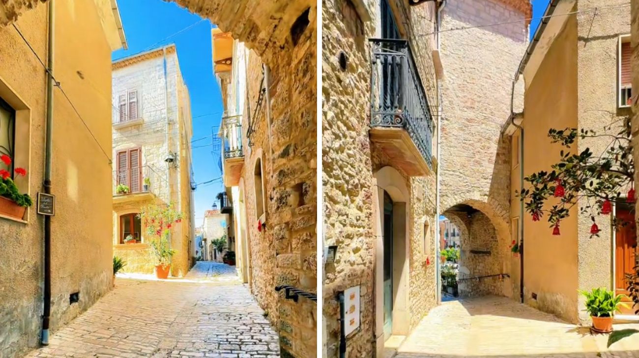 Profilo Havevanhavefun, Molise