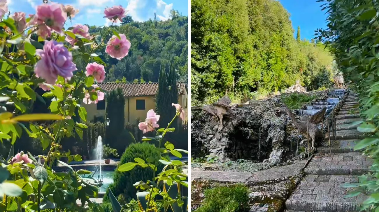 Profilo ItsCamilla Masini, Giardino Toscana