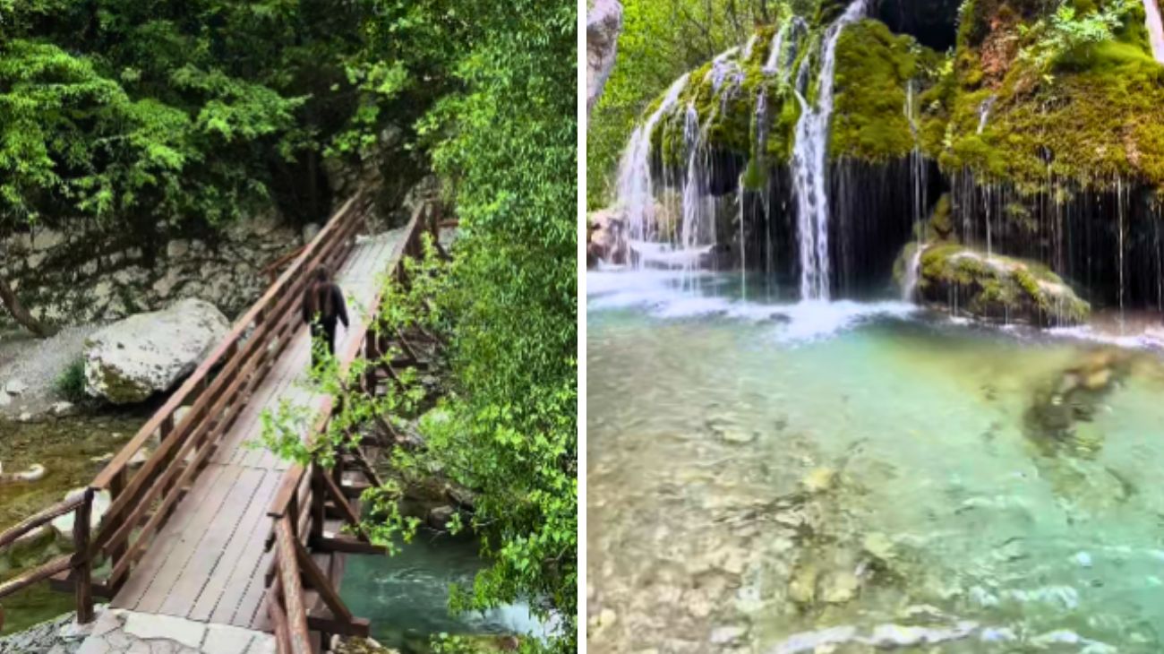 Profilo Laforchettavagabonda, Cilento