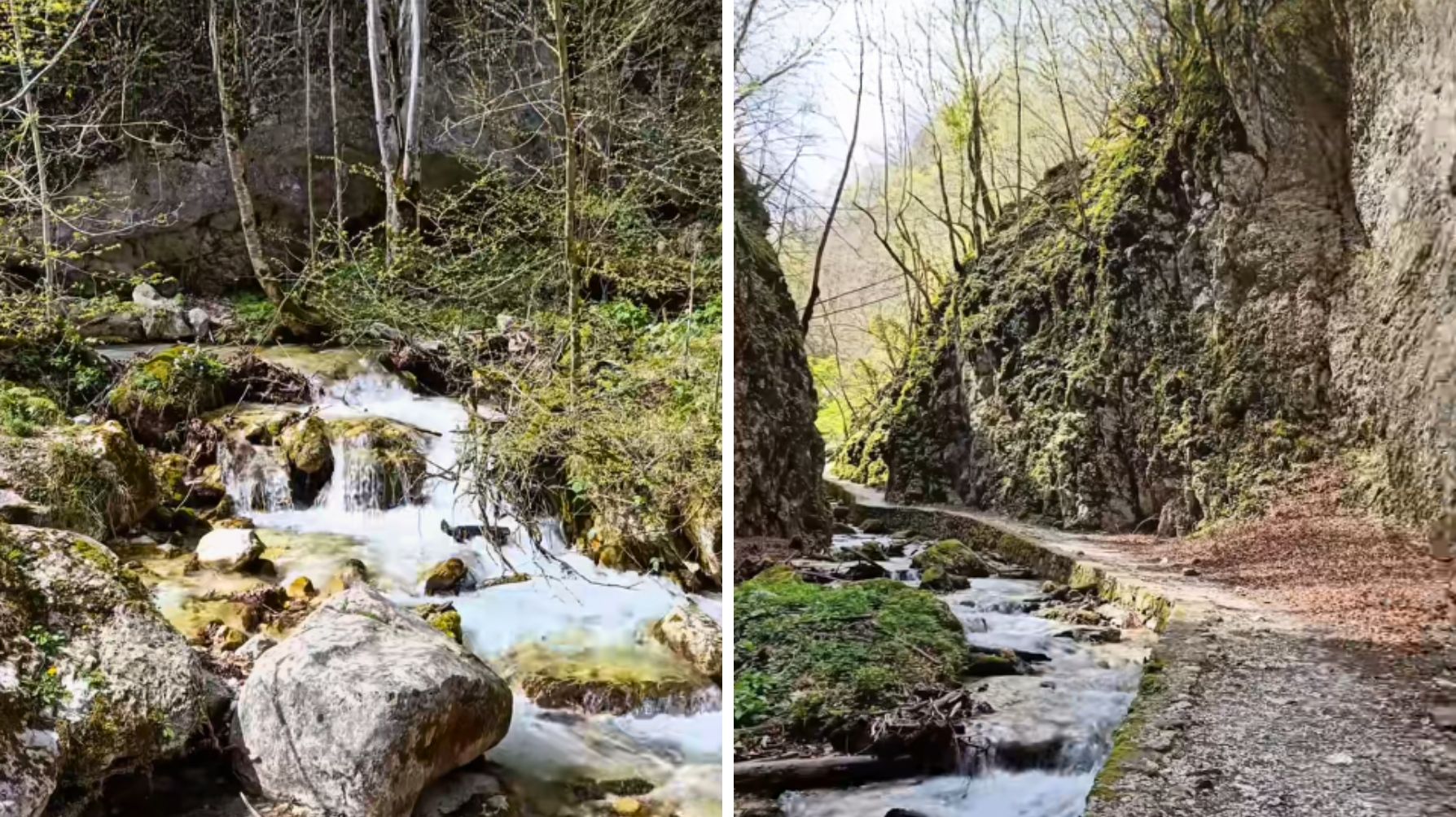 Profilo Loveborghiitaliani, Marche