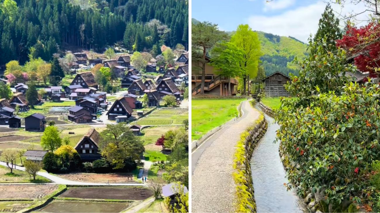 Profilo Travelife, Giappone