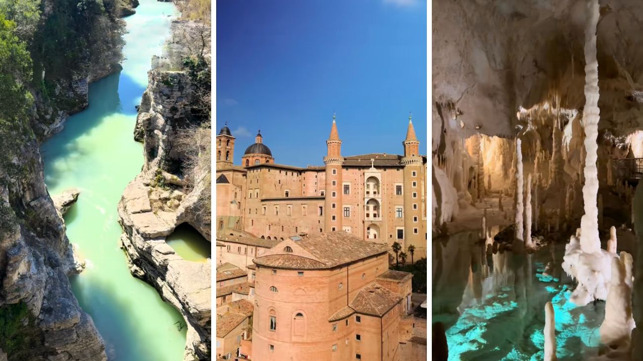 Profilo Travelife Marche