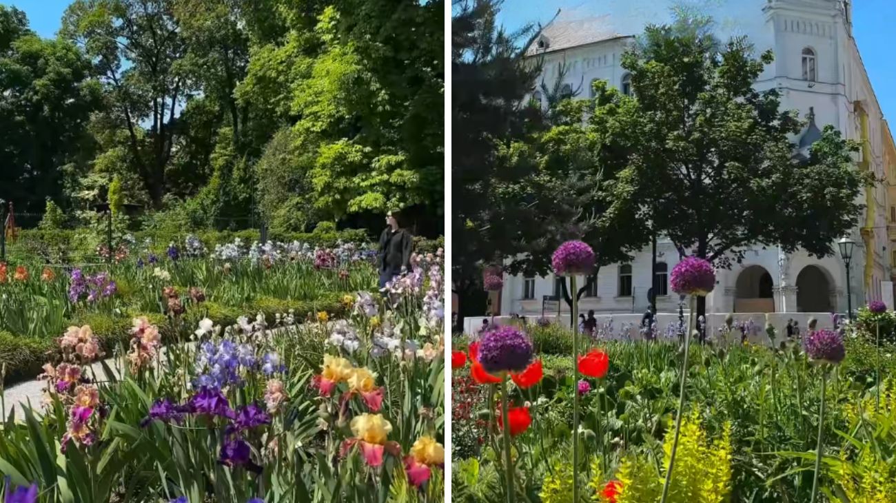 Profilosocial AlessandraWorldtrip