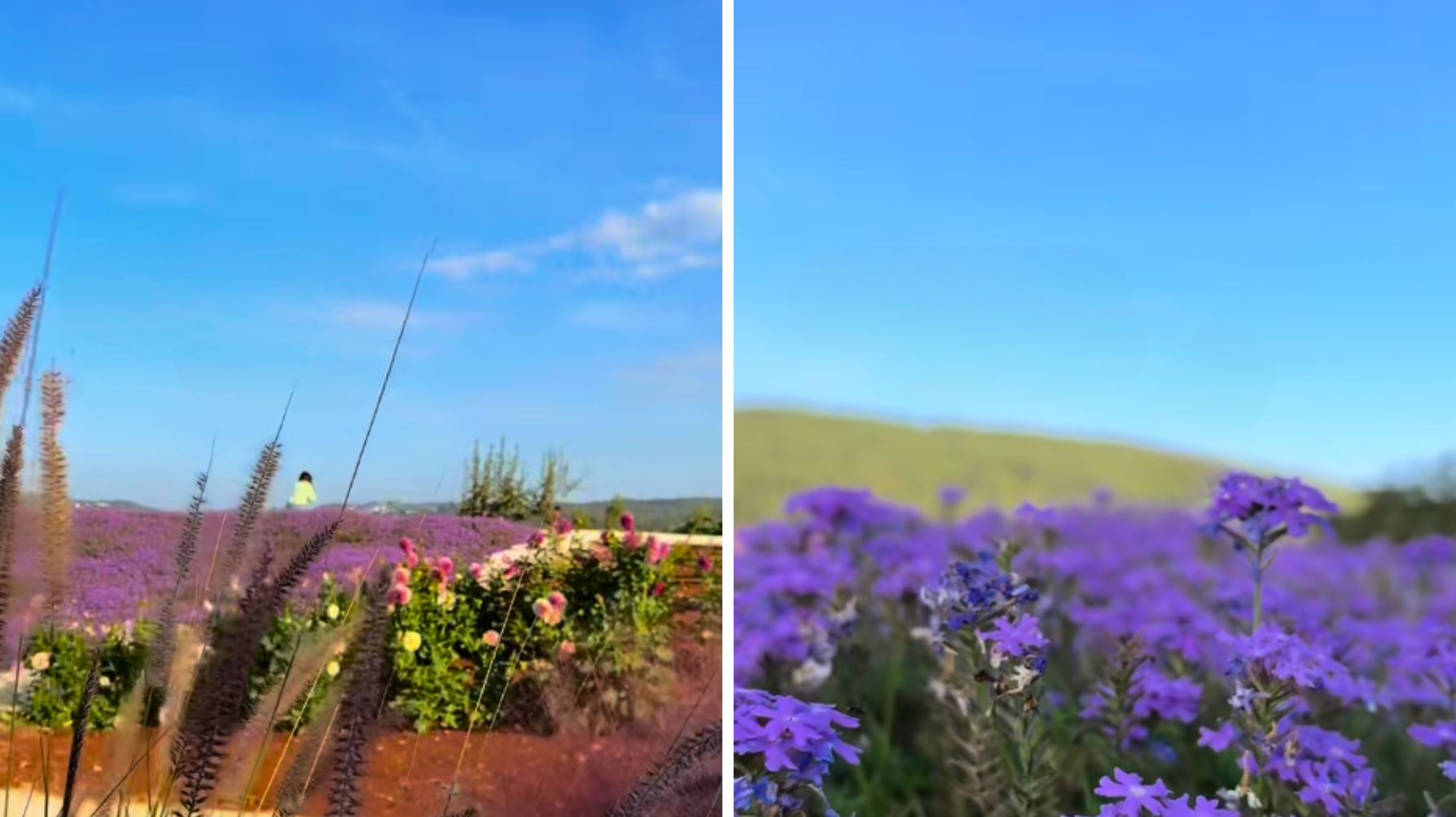 Profilosocial Effelorusso, Puglia