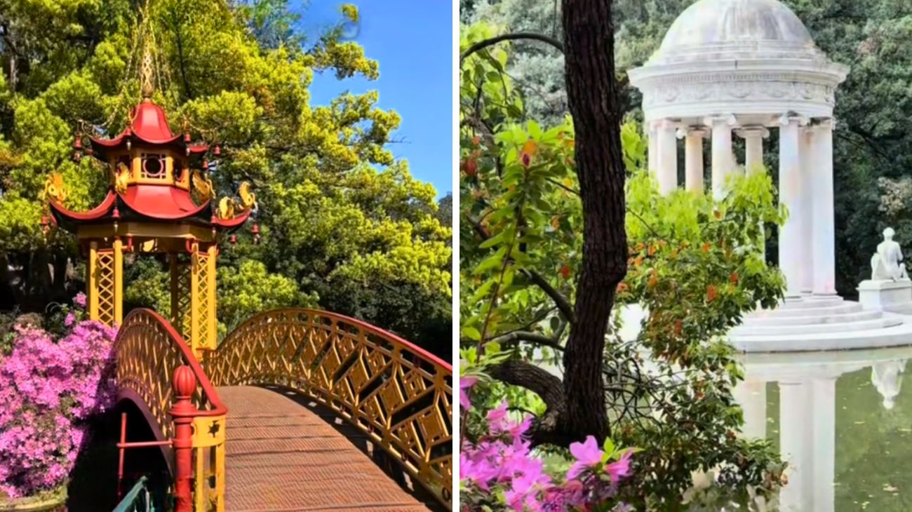 Profilosocial Filippo Carbone, Genova