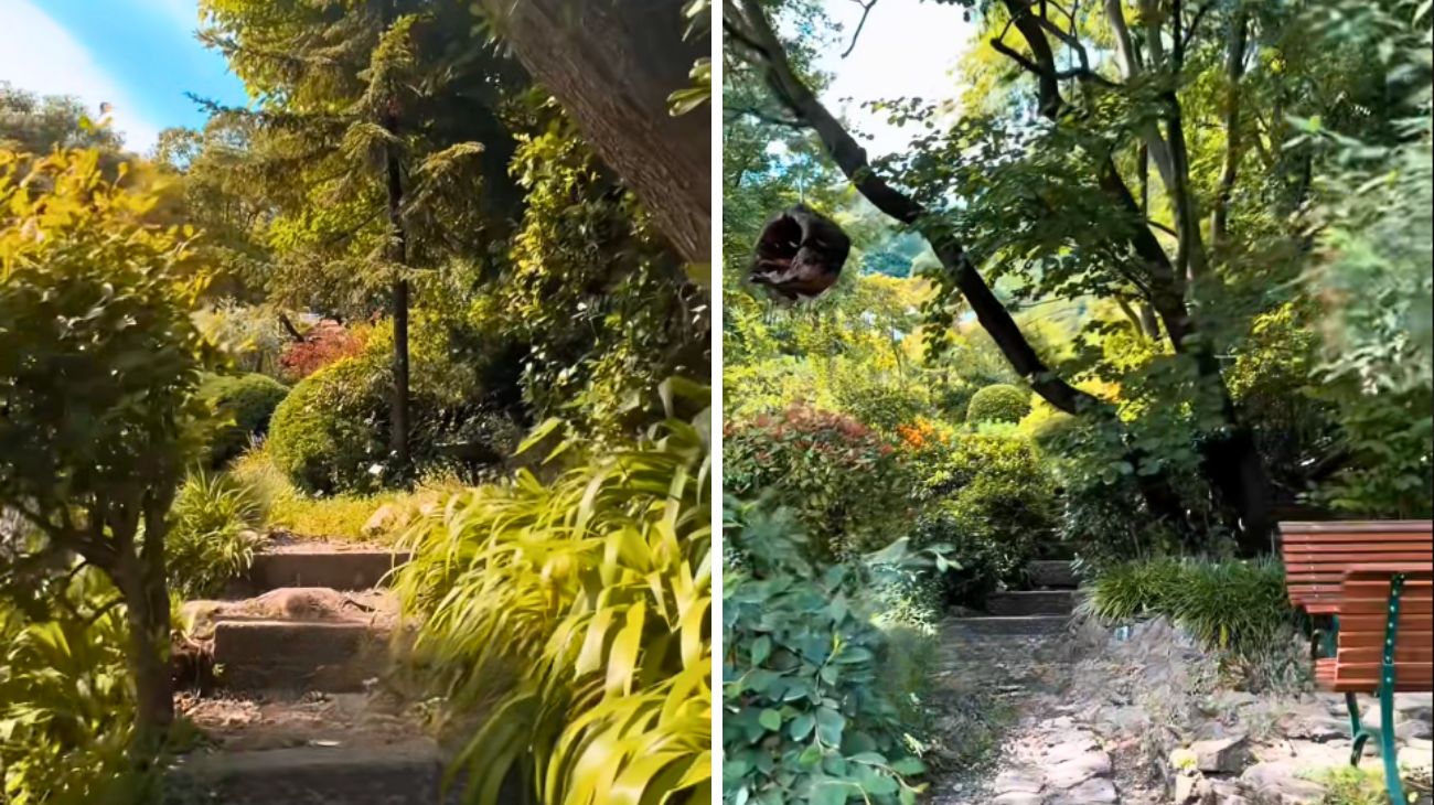 Profilosocial Simi Larity, Giardino Lago di Como