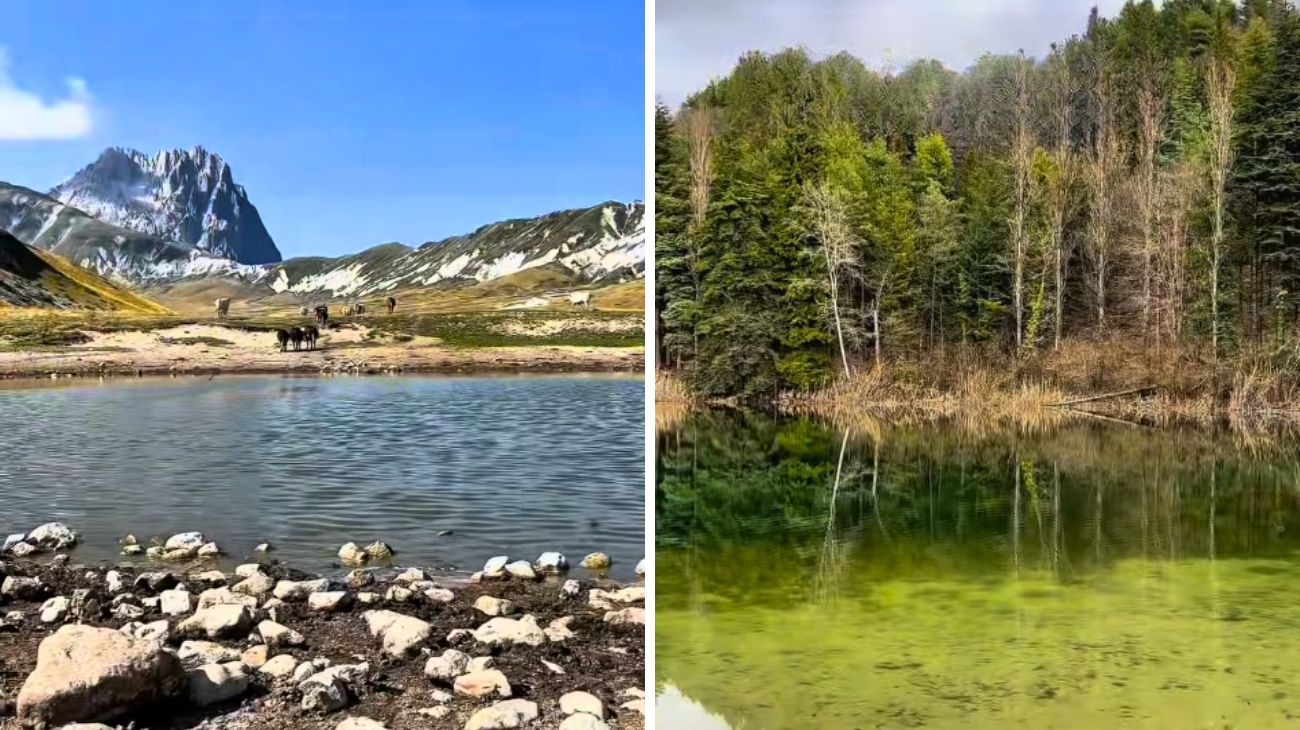 Social Italyyoudonexperience, Escursioni