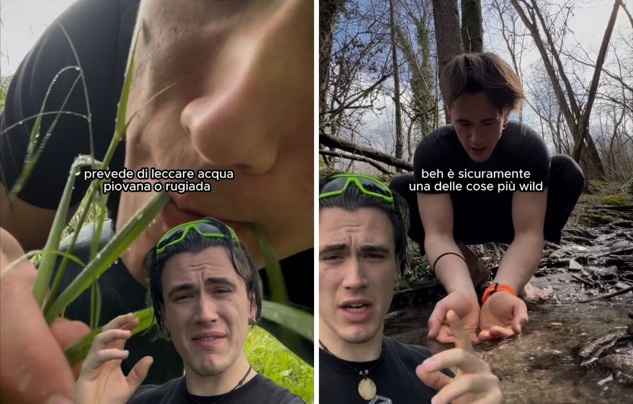 Sia bere la rugiada o l'acqua piovana depositata sule foglie che bere dai ruscelli sono attività pericolose e sconsigliate.