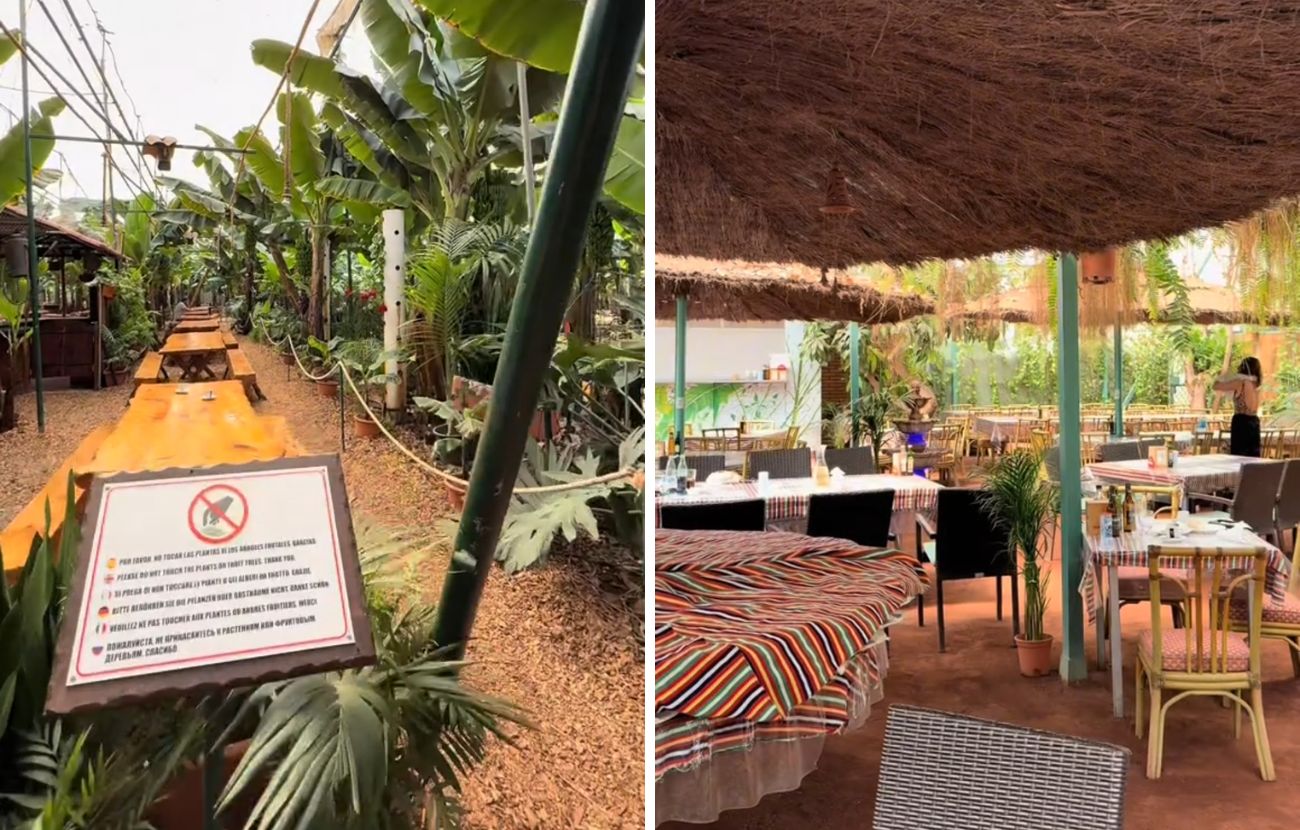 Alcuni scorci del ristorante all'interno del bananeto a Tenerife.