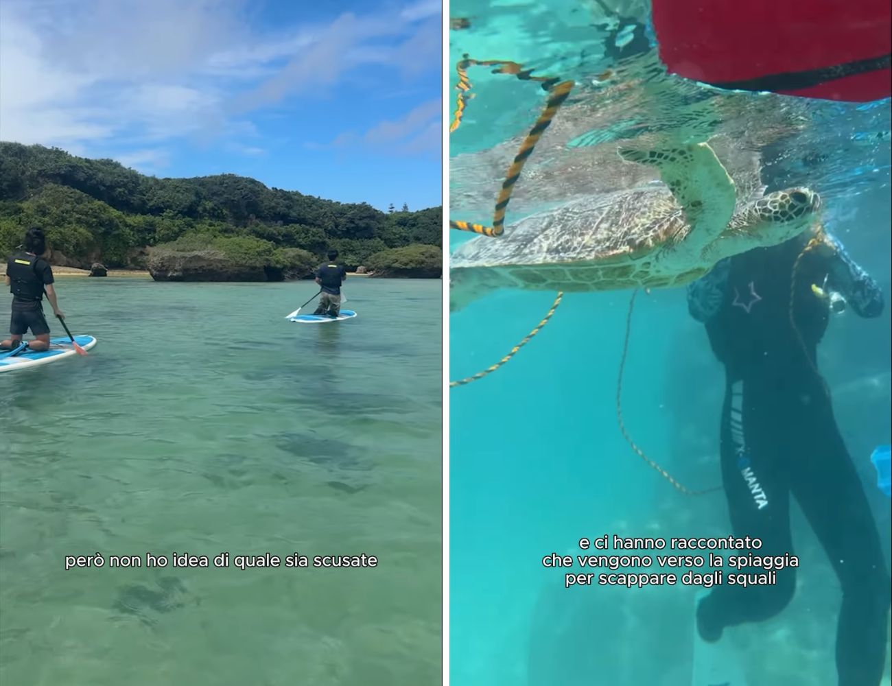 Al mattino hanno fatto stand-up paddle nella baia, al pomeriggio hanno fatto snorkeling, osservando tartarughe e pesci colorati.