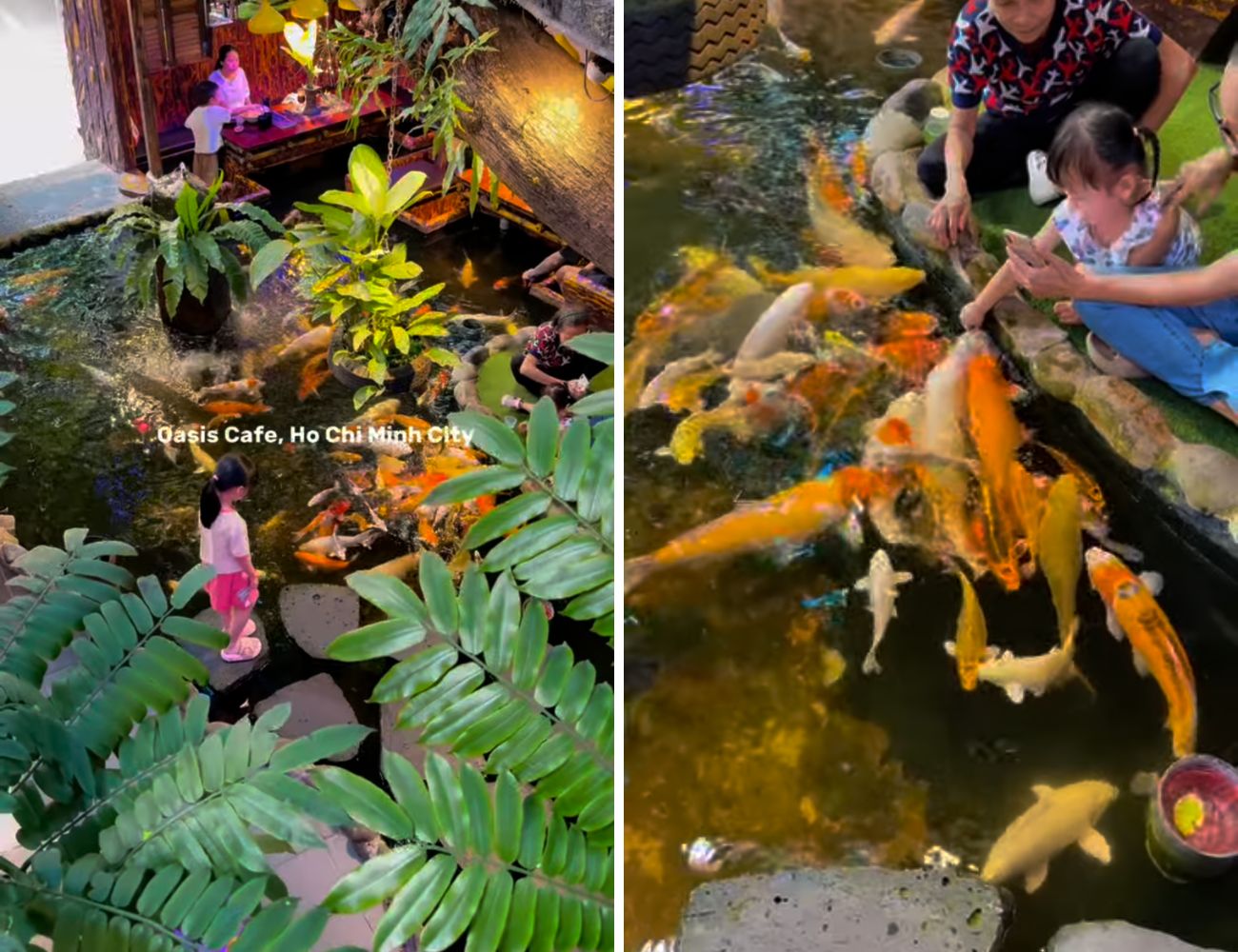 Le carpe Koi sono l'attrazione principale di questo locale vietnamita una cui parte è sospesa sull'acqua.